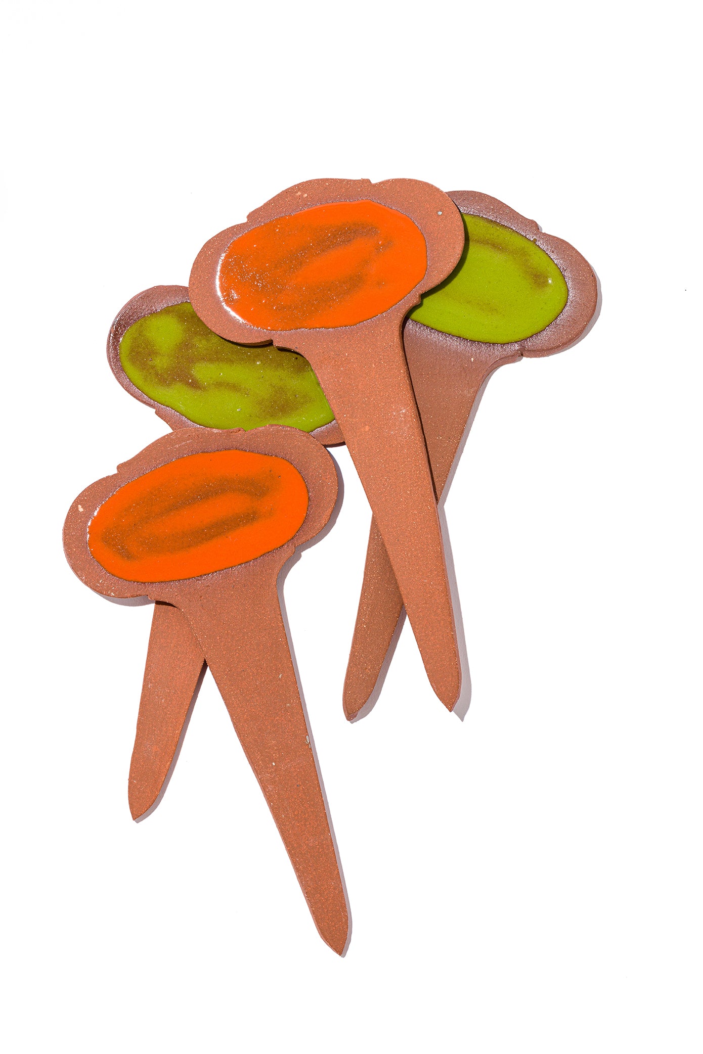 Deyrolle Seedling Tag