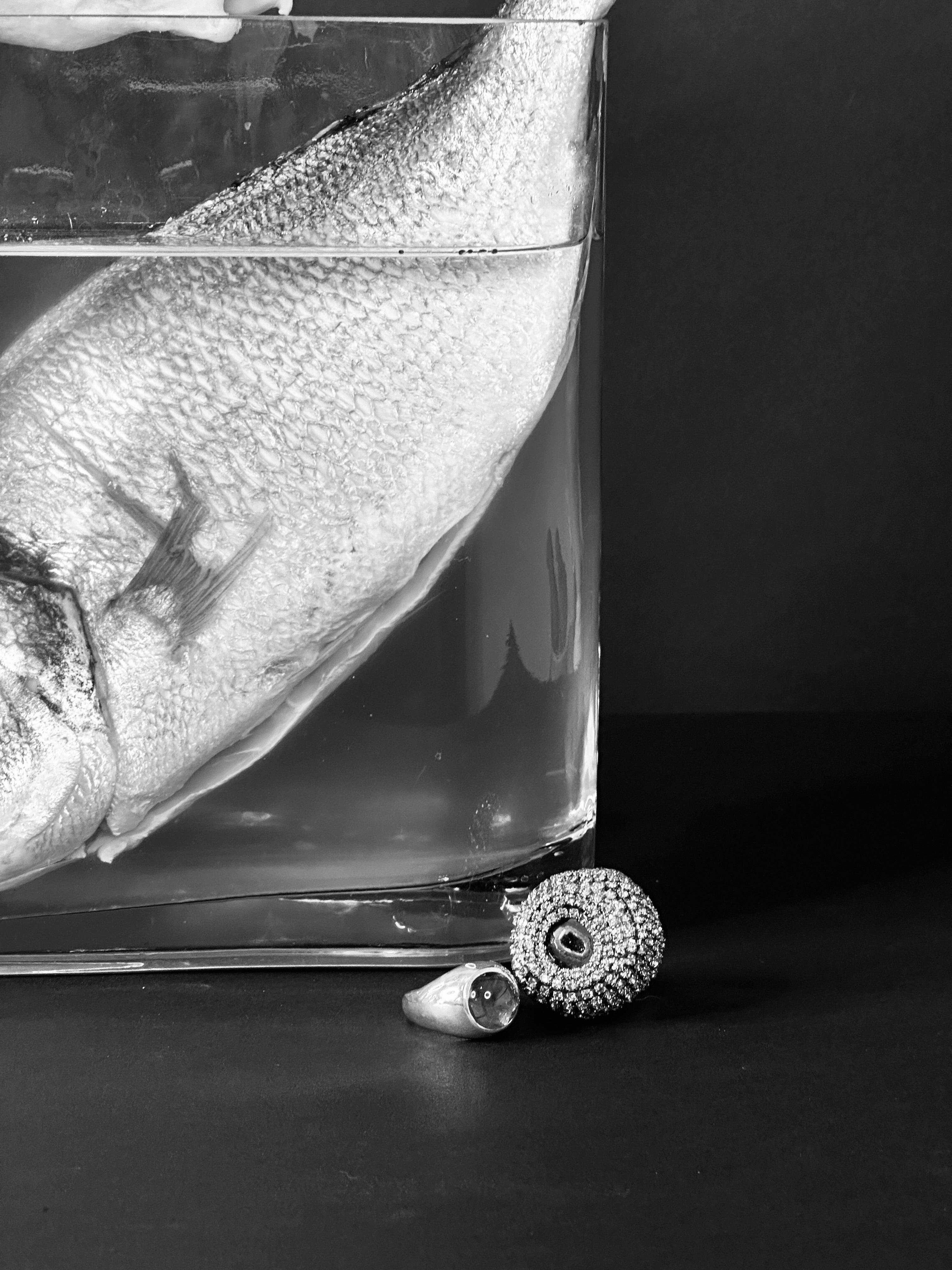 Articulo Ring